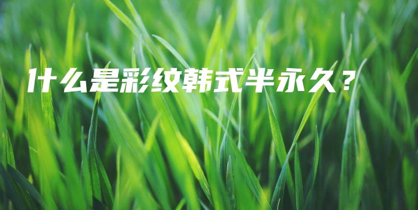 什么是彩纹韩式半永久？插图