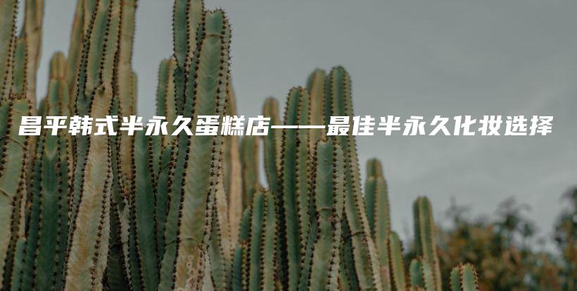 昌平韩式半永久蛋糕店——最佳半永久化妆选择插图