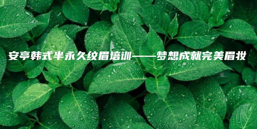 安亭韩式半永久纹眉培训——梦想成就完美眉妆插图