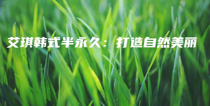 艾琪韩式半永久：打造自然美丽插图