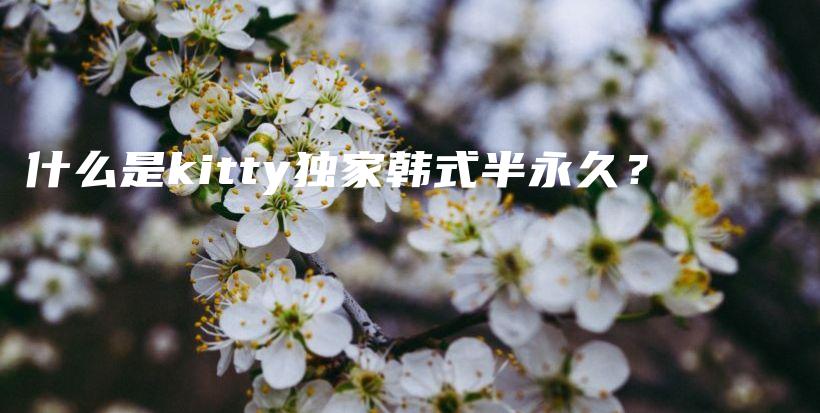 什么是kitty独家韩式半永久？插图