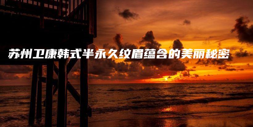 苏州卫康韩式半永久纹眉蕴含的美丽秘密插图