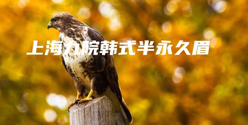 上海九院韩式半永久眉插图