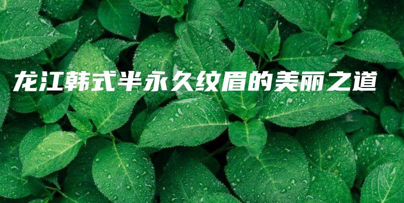 龙江韩式半永久纹眉的美丽之道插图