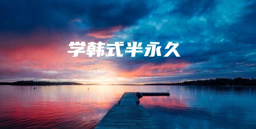 学韩式半永久插图