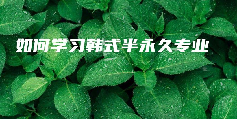 如何学习韩式半永久专业插图