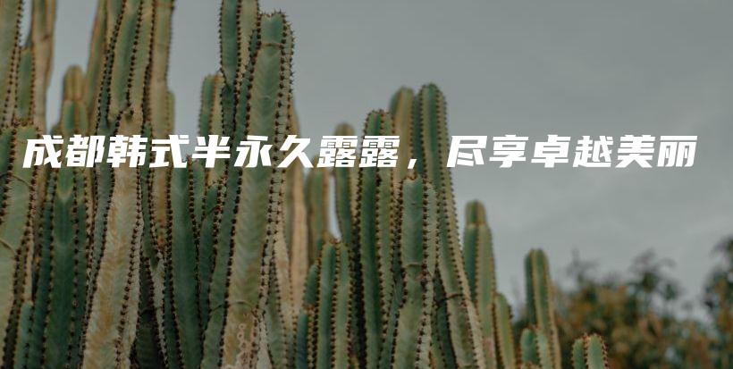 成都韩式半永久露露，尽享卓越美丽插图