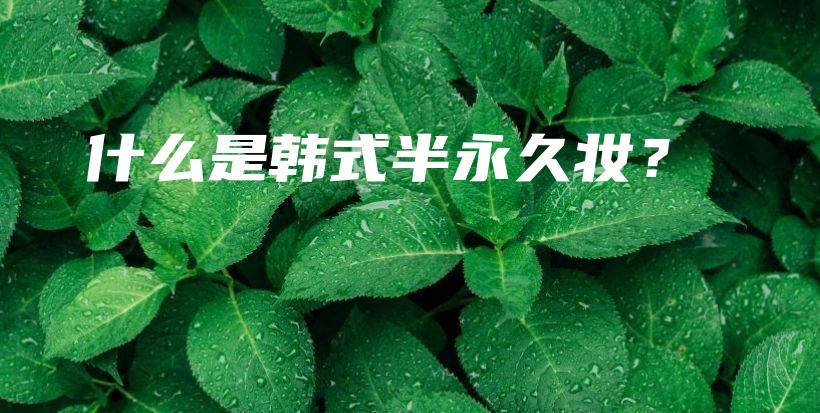 什么是韩式半永久妆？插图