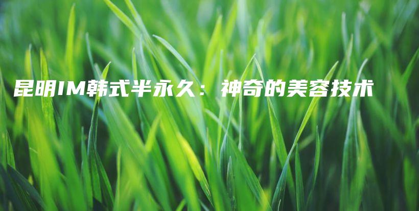 昆明IM韩式半永久：神奇的美容技术插图