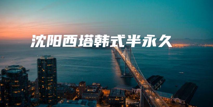 沈阳西塔韩式半永久插图