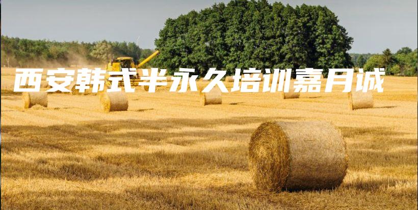 西安韩式半永久培训嘉月诚插图