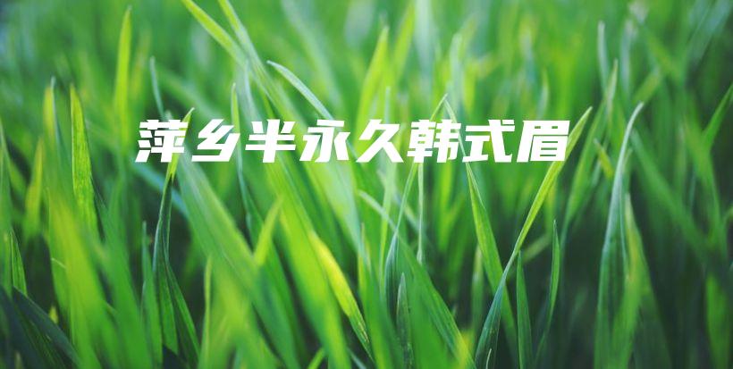 萍乡半永久韩式眉插图