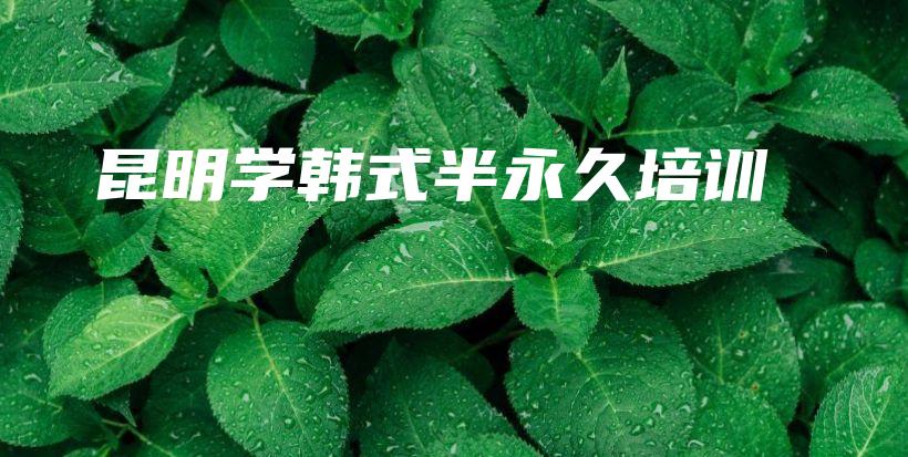 昆明学韩式半永久培训插图