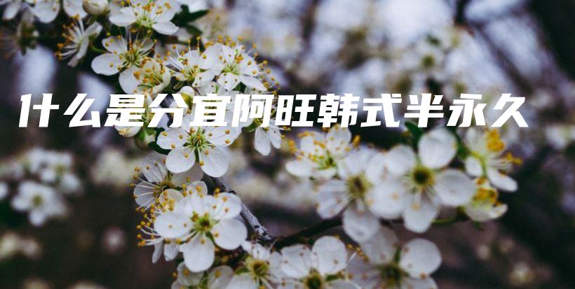 什么是分宜阿旺韩式半永久插图