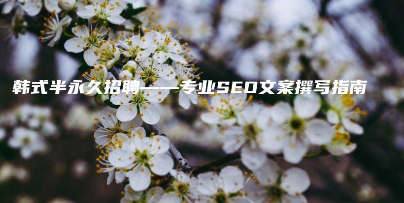 韩式半永久招聘——专业SEO文案撰写指南插图
