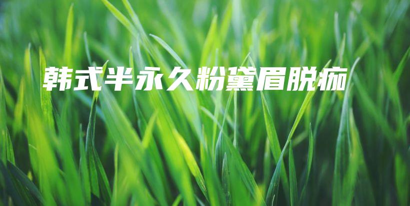 韩式半永久粉黛眉脱痂插图