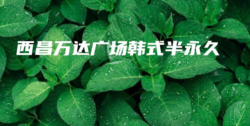 西昌万达广场韩式半永久插图