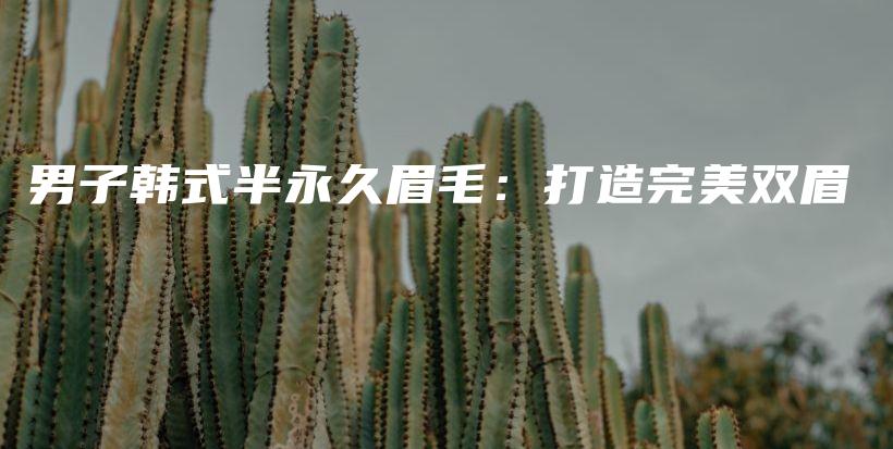 男子韩式半永久眉毛：打造完美双眉插图