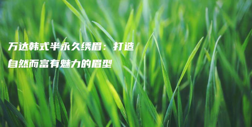 万达韩式半永久绣眉：打造自然而富有魅力的眉型插图