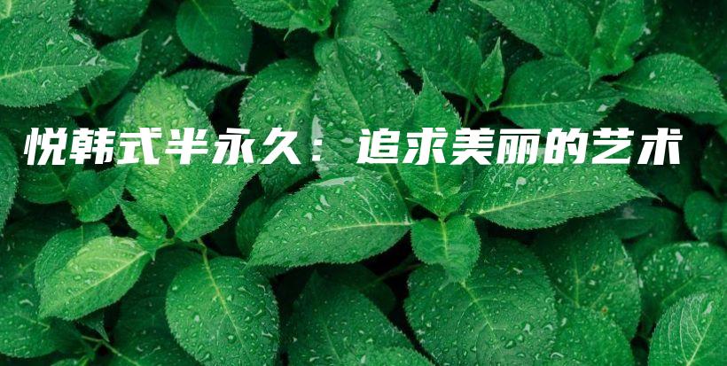 悦韩式半永久：追求美丽的艺术插图