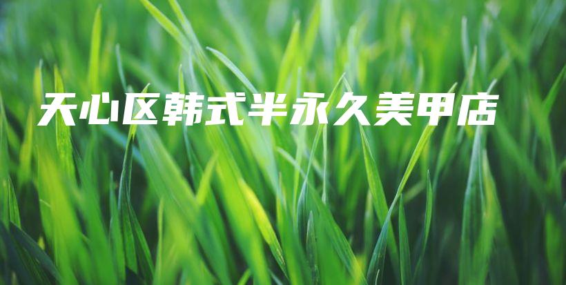 天心区韩式半永久美甲店插图