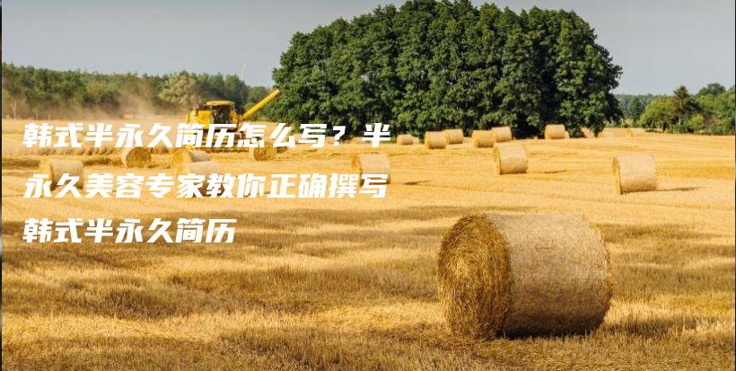 韩式半永久简历怎么写？半永久美容专家教你正确撰写韩式半永久简历插图