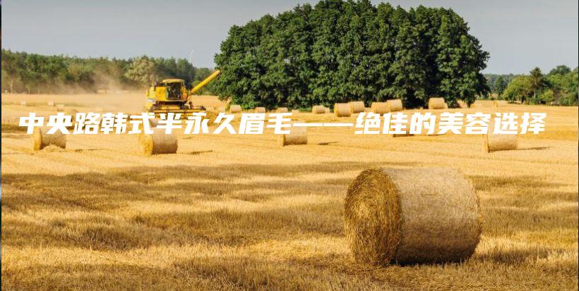 中央路韩式半永久眉毛——绝佳的美容选择插图