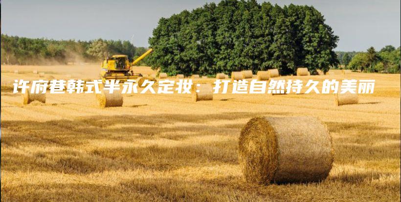 许府巷韩式半永久定妆：打造自然持久的美丽插图