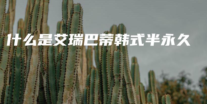 什么是艾瑞巴蒂韩式半永久插图
