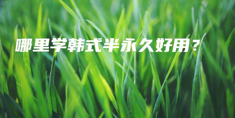 哪里学韩式半永久好用？插图