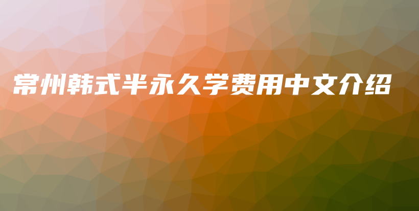 常州韩式半永久学费用中文介绍插图