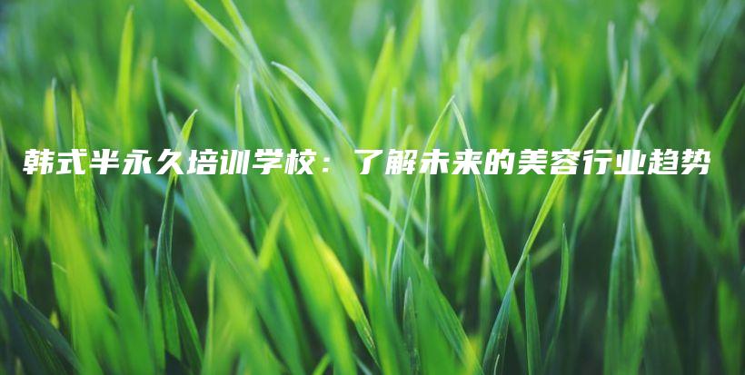 韩式半永久培训学校：了解未来的美容行业趋势插图