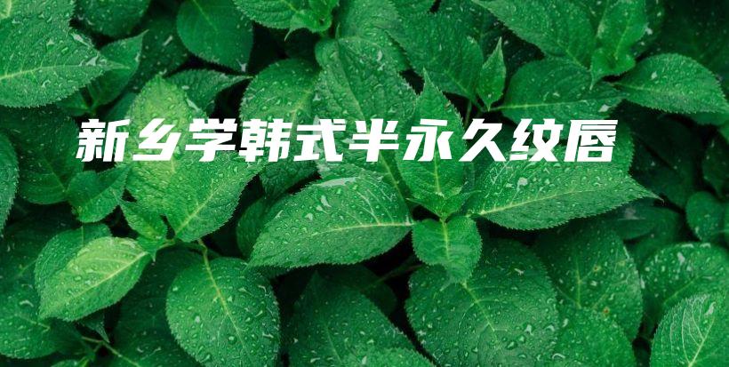 新乡学韩式半永久纹唇插图