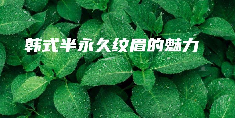 韩式半永久纹眉的魅力插图