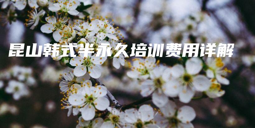 昆山韩式半永久培训费用详解插图