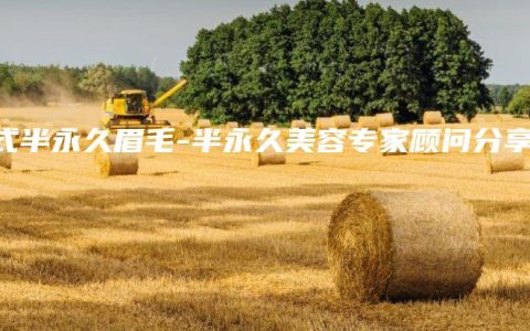 韩式半永久眉毛-半永久美容专家顾问分享