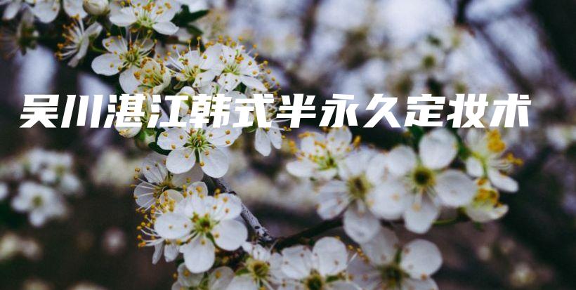 吴川湛江韩式半永久定妆术插图
