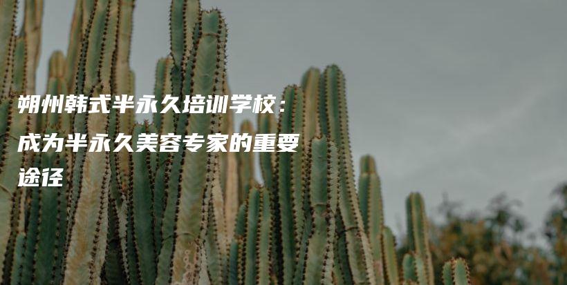 朔州韩式半永久培训学校：成为半永久美容专家的重要途径插图