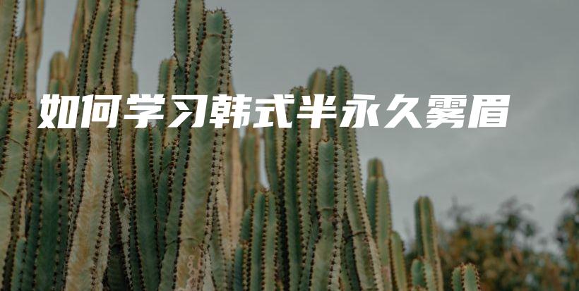 如何学习韩式半永久雾眉插图