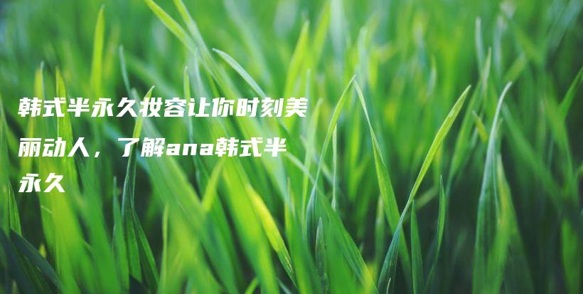 韩式半永久妆容让你时刻美丽动人，了解ana韩式半永久插图
