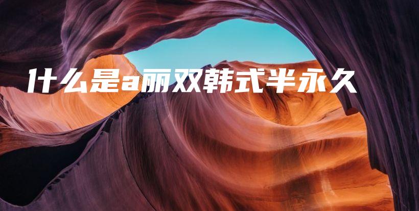 什么是a丽双韩式半永久插图