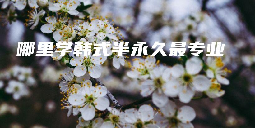 哪里学韩式半永久最专业插图
