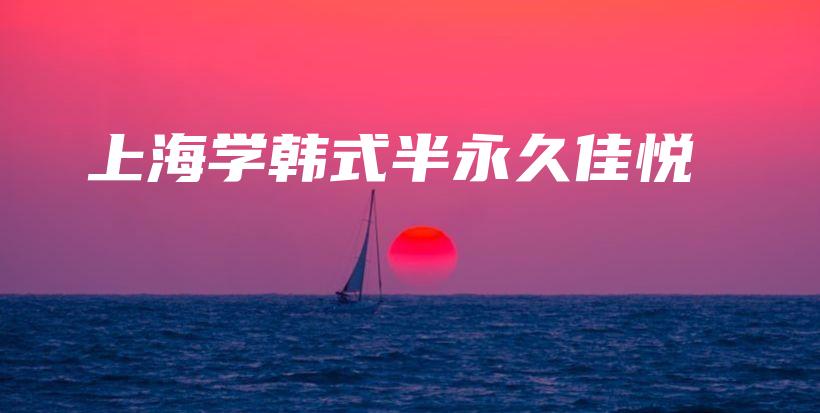 上海学韩式半永久佳悦插图