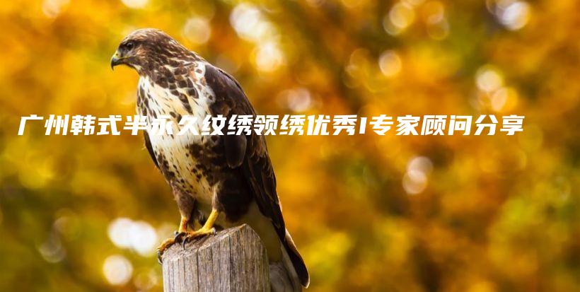 广州韩式半永久纹绣领绣优秀I专家顾问分享插图