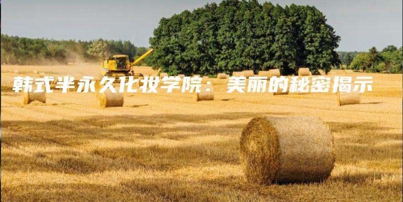 韩式半永久化妆学院：美丽的秘密揭示插图