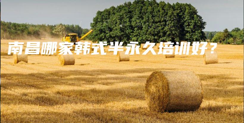 南昌哪家韩式半永久培训好？插图