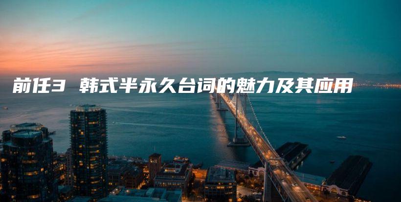 前任3 韩式半永久台词的魅力及其应用插图