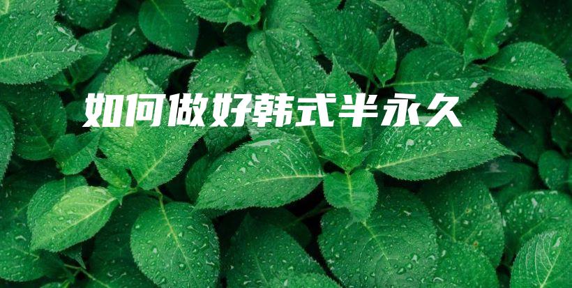 如何做好韩式半永久插图