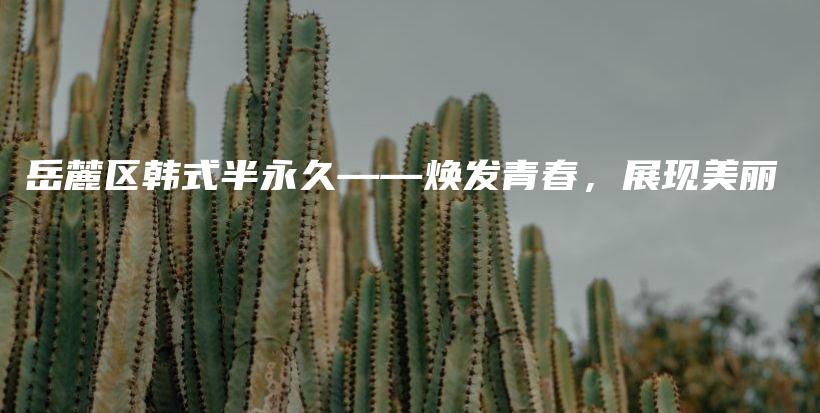 岳麓区韩式半永久——焕发青春，展现美丽插图