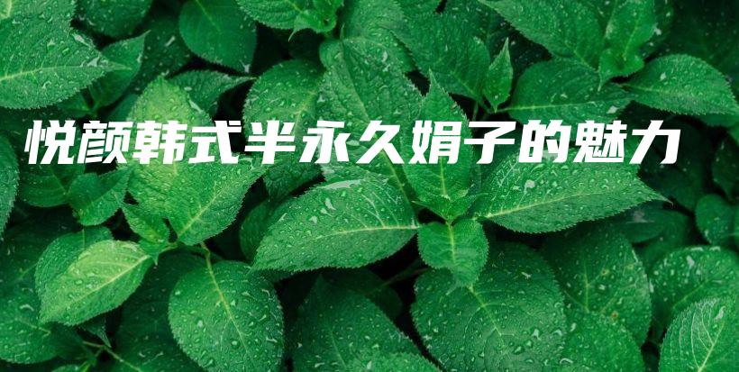 悦颜韩式半永久娟子的魅力插图